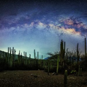 Bosque de Cactus y Vía Láctea