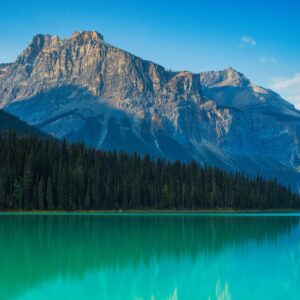 Inscripción y primer pago — Taller de Banff 2026