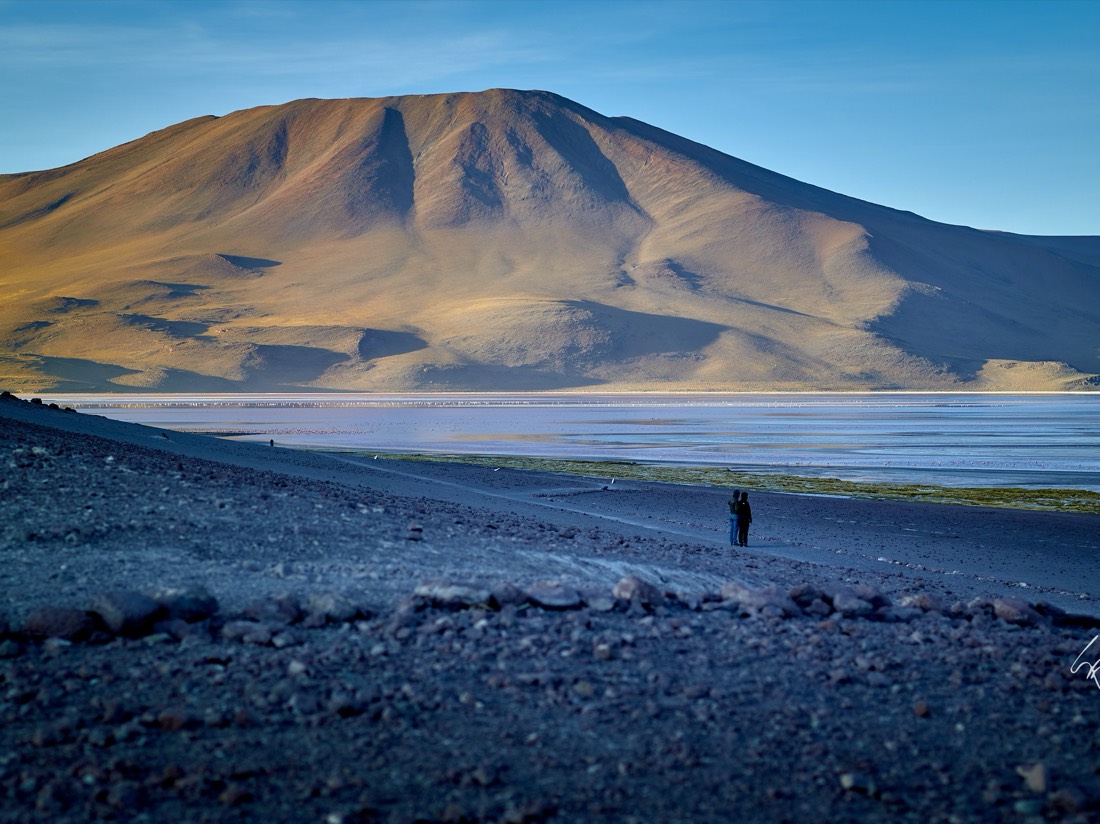 Flamencos en la Laguna Colorada, al pie de la montaña del altiplano boliviano