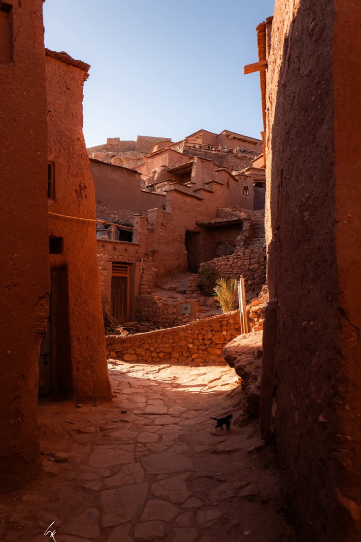 Callejón de adobe en una kasbah marroquí, con un gato cruzando la luz
